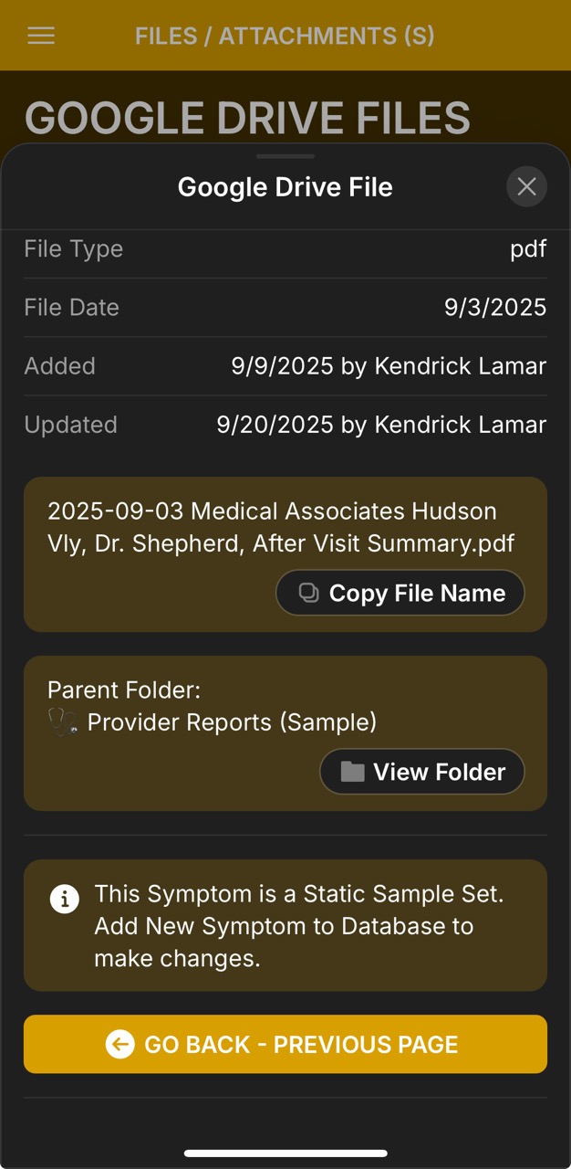 Files & Attachments Detail Page (Amelia Shepherd After Visit Summary)